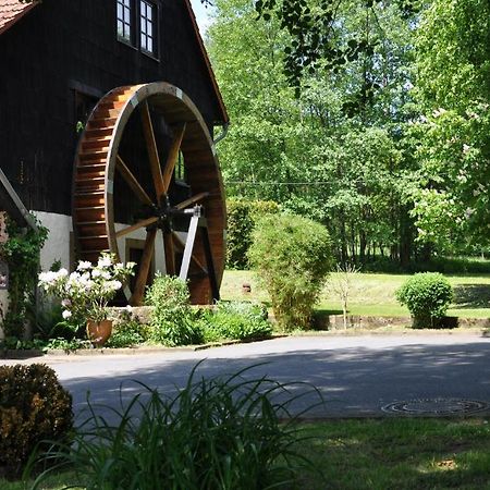 Landgasthof Geiersmuhle Hotel Vielbrunn Kültér fotó