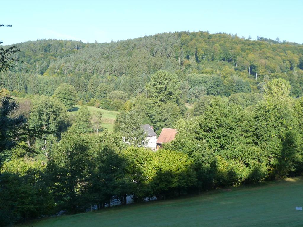 Landgasthof Geiersmuhle Hotel Vielbrunn Kültér fotó